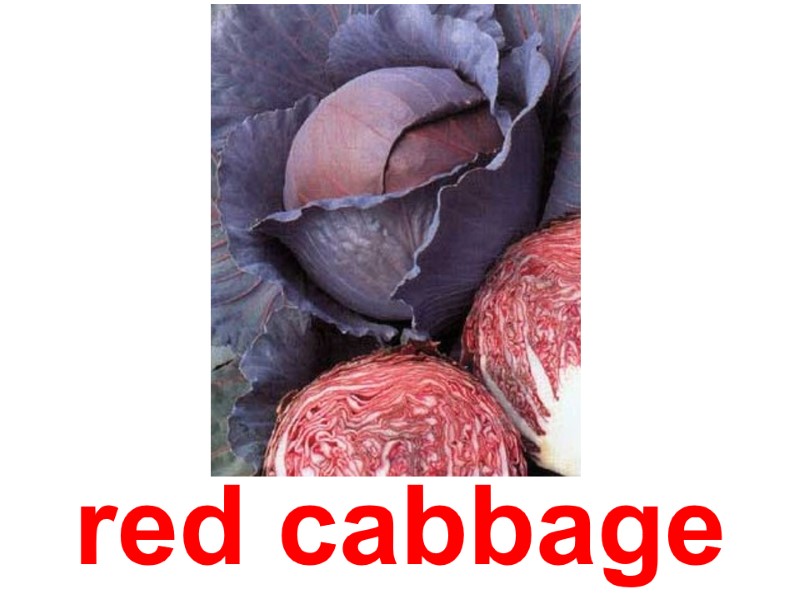red cabbage